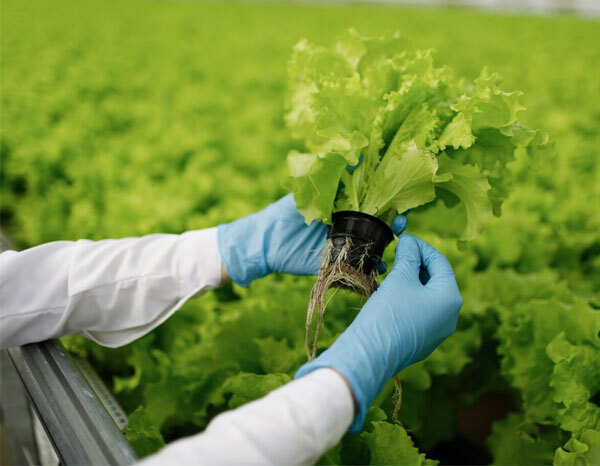 Regenerative Agriculture Regenerative Agriculture