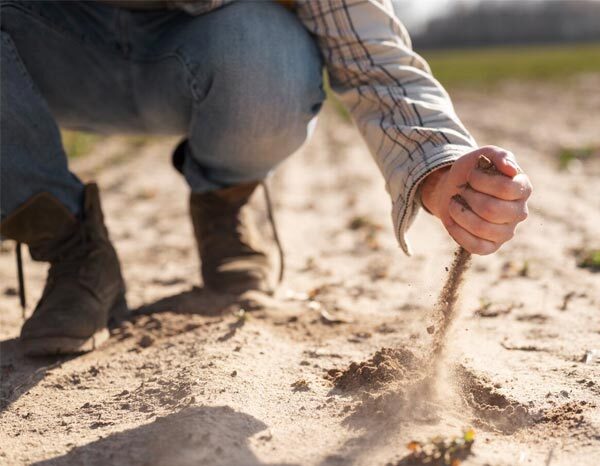 Taking care of the soil Taking care of the soil