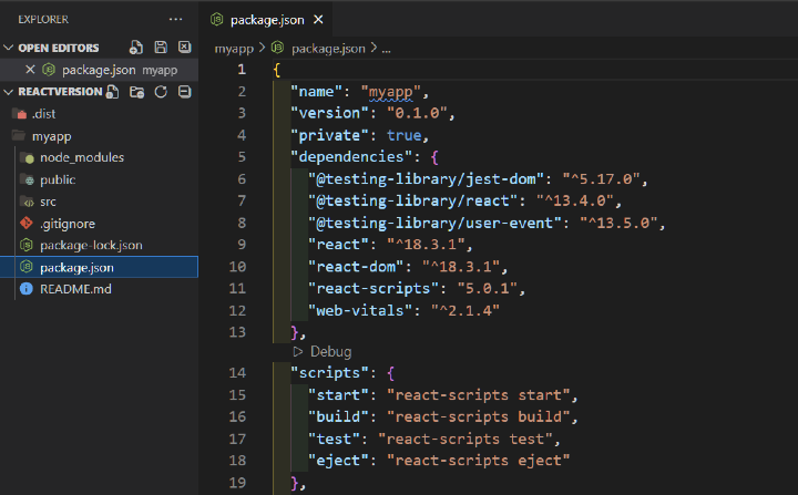React Version Check