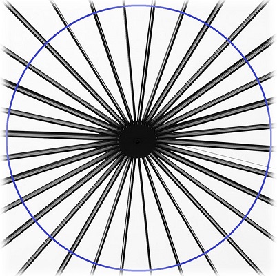 Infinite Lines
