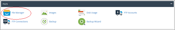 Files Section