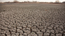 Drought