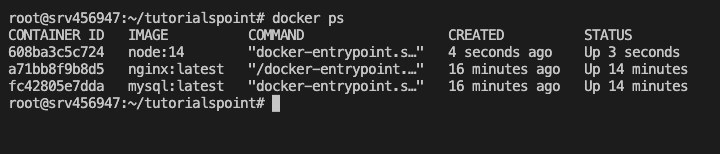 List the Running Containers