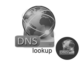 DNS查詢