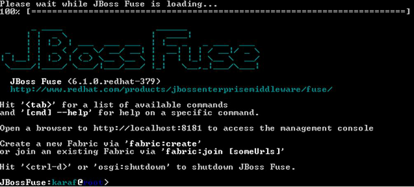 Deploying Bundle in Fuse