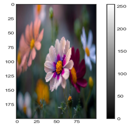 Matplolib Image
