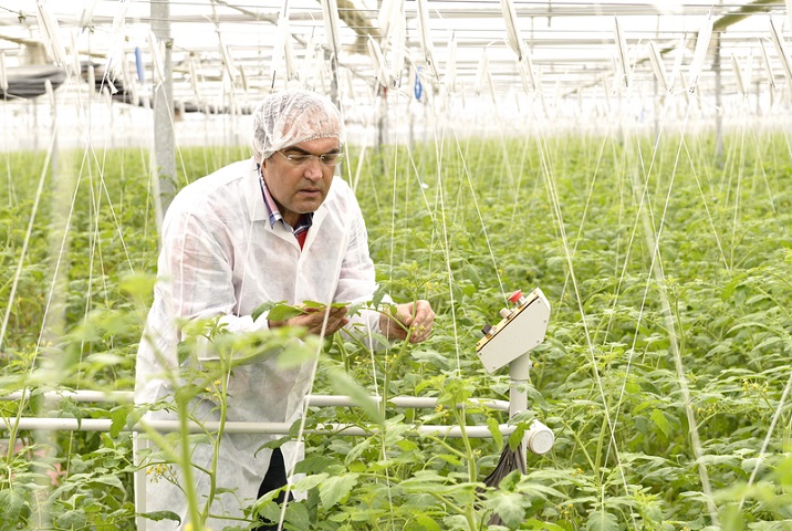Agricultural Inputs